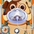 Animal Daycare